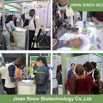 Trigonelline Hydrochloride