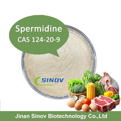 Spermidin råpulver